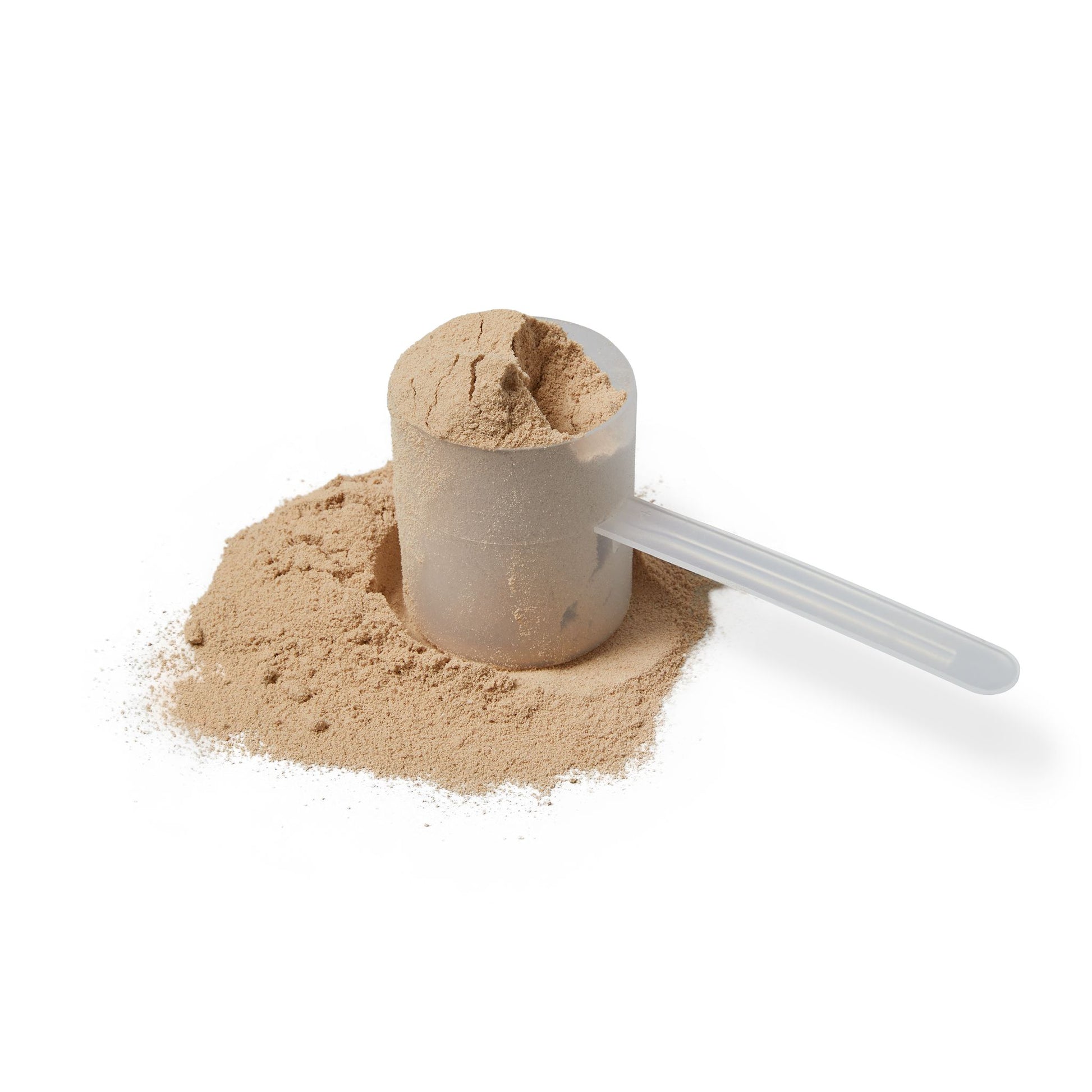 Whey Protein - Chocolate (Resale: $45-$60) (907g, 2lb)