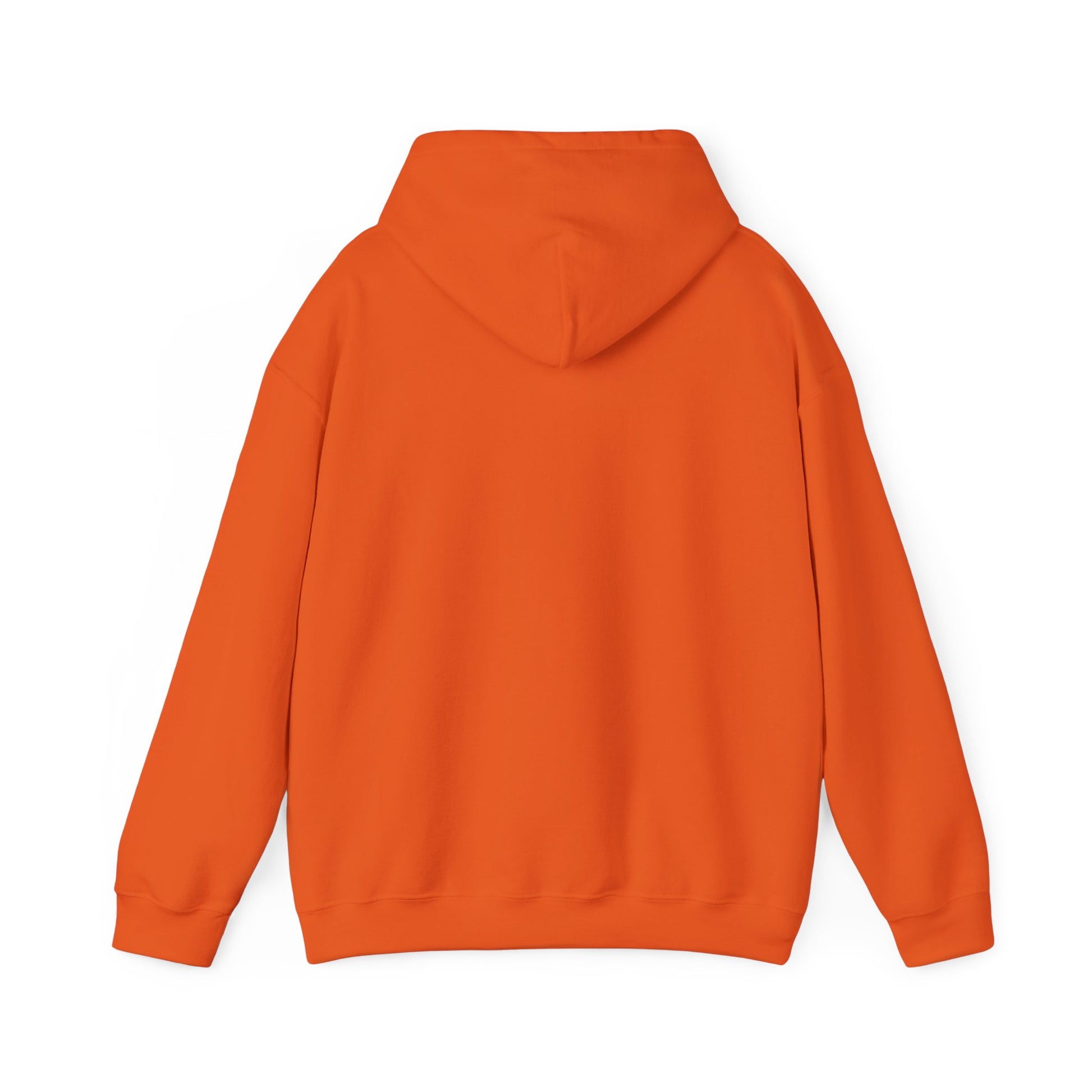 Heavy Blend Hoodie