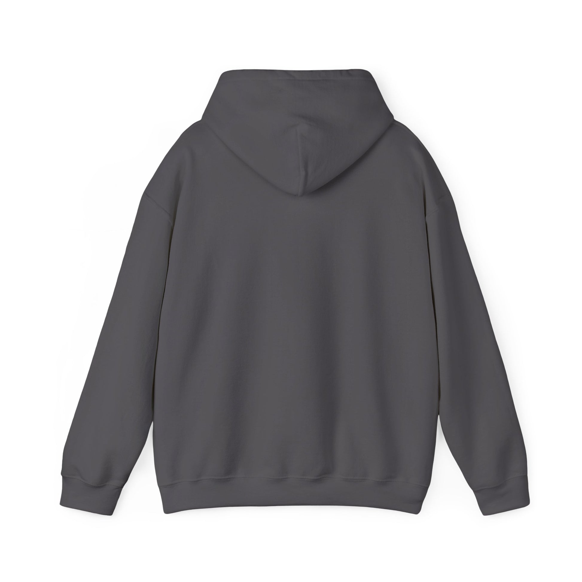 Heavy Blend Hoodie