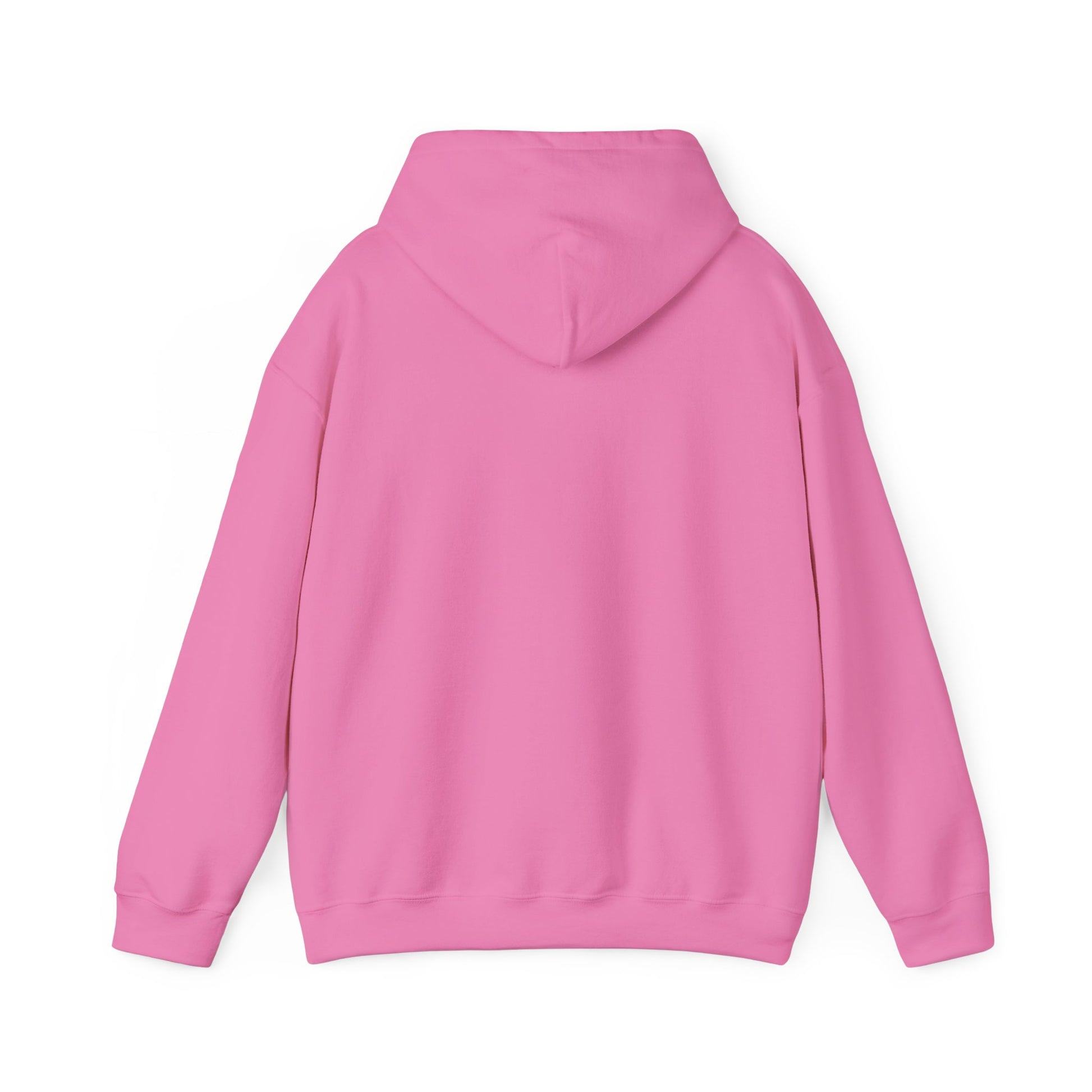 Heavy Blend Hoodie